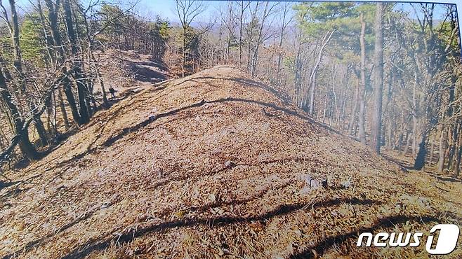 보은 대야리 고분군 중 발굴대상 고분 모습. (보은군 제공) /뉴스1