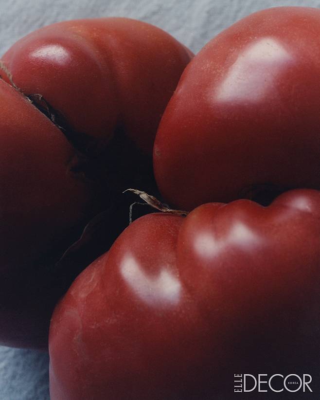 비프스테이크 토마토(Beefsteak Tomato).