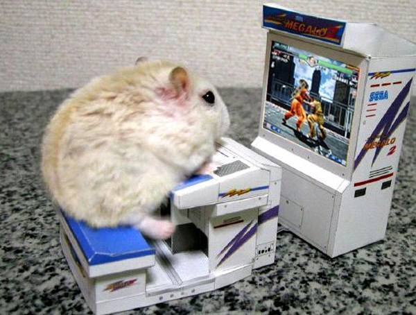 조기자는 이런 사진 가지고도 즐거워한다.. 허허