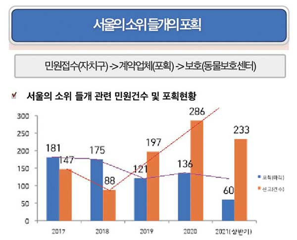 소울시 들개 관련 민원건수 및 포획현황. 자료 카라.