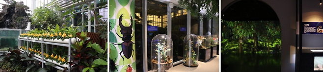 국립농업박물관의 식물원과 곤충관 / 사진=구소정 여행+기자