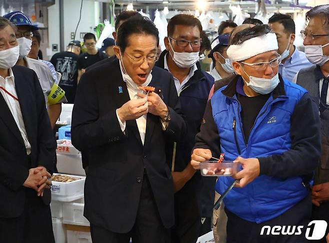 기시다 후미오 일본 총리가 8월 31일 도쿄의 수산물 도매시장인 도요스 시장을 시찰하며 조반 해안에서 잡힌 생선을 맛 보고 있다. /AFPBBNews=뉴스1