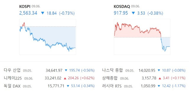 6일 코스닥은 장 초반 상승세를 그렸으나 마감 전 매도세가 이어지면서 전 거래일 대비 3.53포인트 내린 917.95에 거래를 마쳐 하락 전환했다. /네이버 증권 캡처