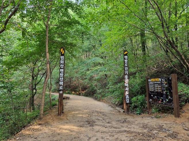용인 법화산에 새로 조성된 맨발산책로. [사진제공=용인시]
