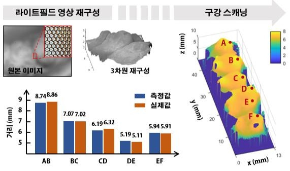 연구 모식도 [한국과학기술원(KAIST) 제공.재판매 및 DB 금지]