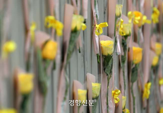 세월호 기억공간 외벽에 매단 노란 장미. 권도현 기자