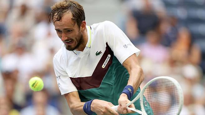 다닐 메드베데프