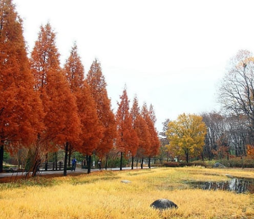 온라인 커뮤니티