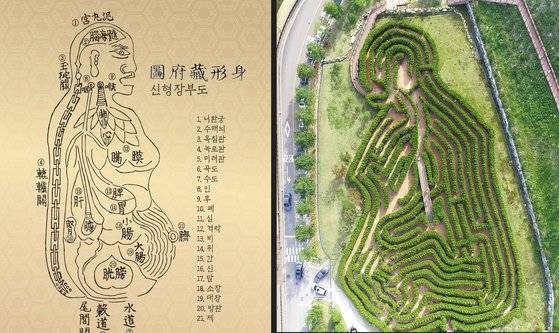 『동의보감(東醫寶鑑)』 내경편에 수록된 인체 오장육부 개념도 ‘신형장부도(사진 왼쪽)’와 이를 형성화한 한방미로공원. [사진 산청세계전통의약항노화엑스포 조직위]