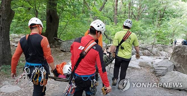 설악산 등반 부상자 이송 [연합뉴스 자료사진] 해당 기사와 직접 관련 없습니다.