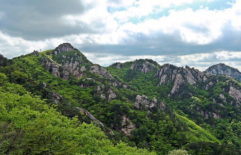 온라인 커뮤니티