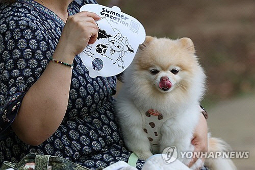 늦더위가 이어진 10일 오전 서울 송파구 올림픽공원을 찾은 시민이 반려견에게 부채질을 해주고 있다. [연합뉴스]