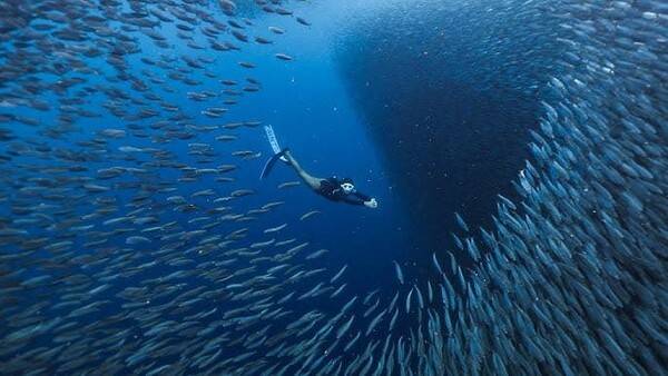 온라인 커뮤니티