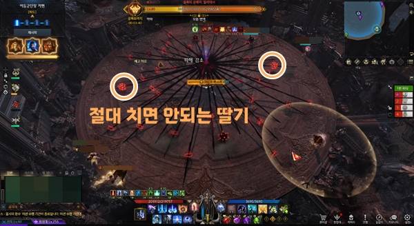 - 절대 그 딸기를 치지 마