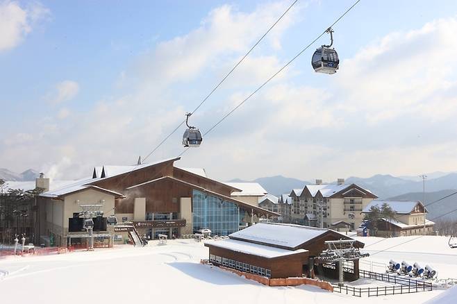 하이원스키장 전경. 사진 | 하이원리조트