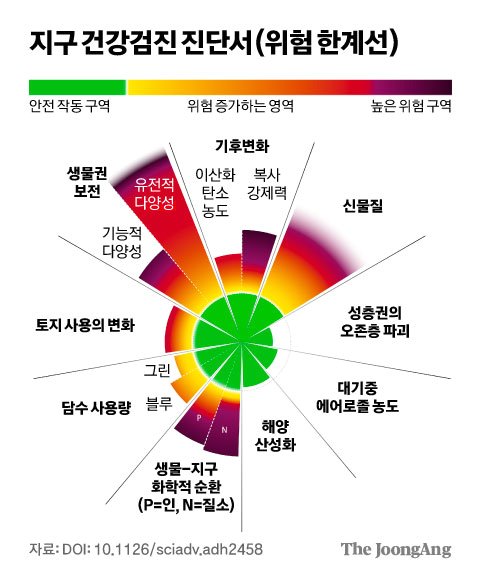 김영희 디자이너