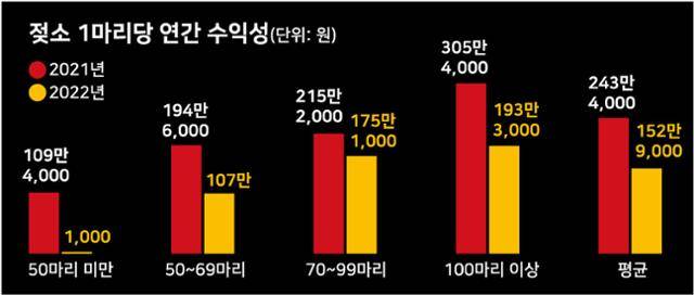 그래픽=강준구 기자