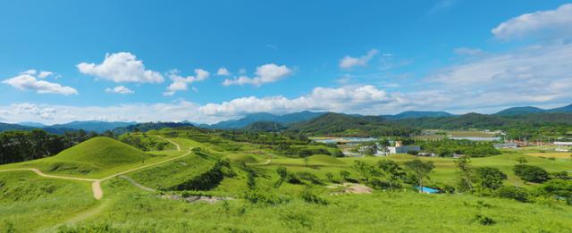 유네스코 세계문화유산 등재를 눈앞에 두고 있는 경남 함안군 말이산 고분군. 함안군 제공