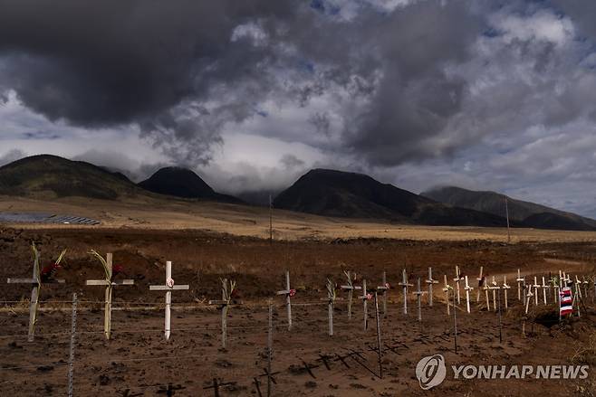 하와이 산불 희생자들을 기리는 십자가 [AP 연합뉴스 자료사진. 재판매 및 DB 금지]