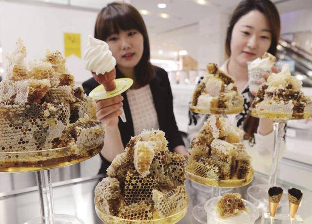 2014년 롯데백화점 부산본점 9층 식당가에 매장을 오픈했던 벌집 아이스크림의 원조 브랜드 격인 '소프트리' 제품들. 롯데백화점 부산본점 제공