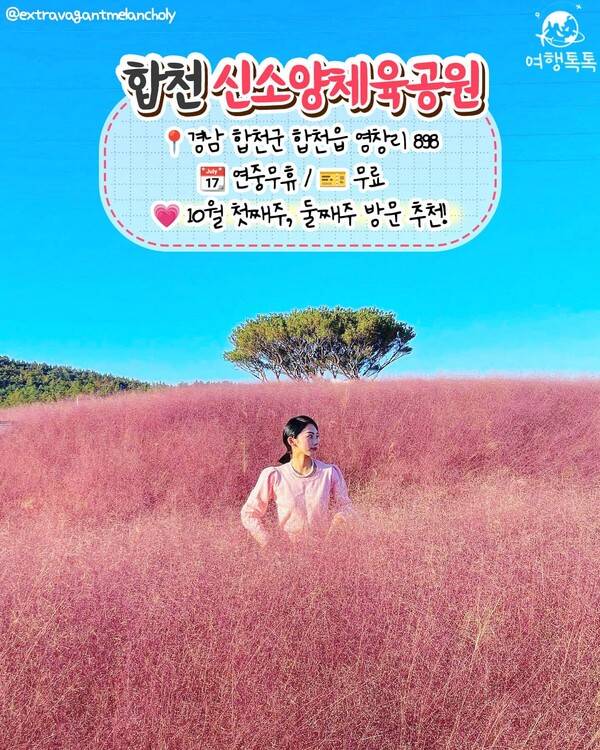 핑크뮬리 명소 추천 / ⓒ여행톡톡