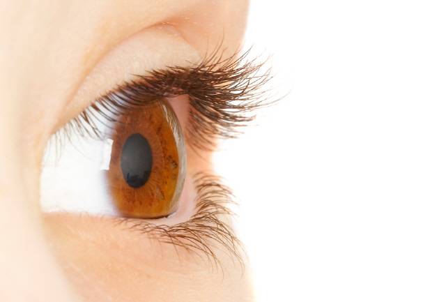 눈은 결막 조직으로 둘러싸여 있으므로 눈 뒤로 속눈썹이 넘어가는 건 불가능하다./사진=클립아트코리아