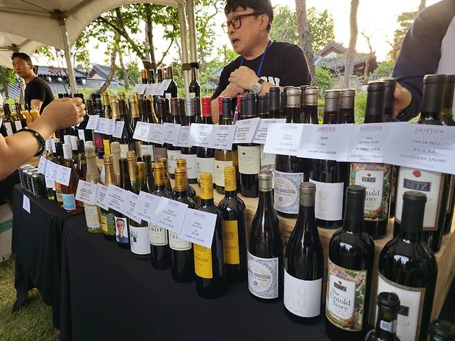 비디더스코리아 수입 와인들.