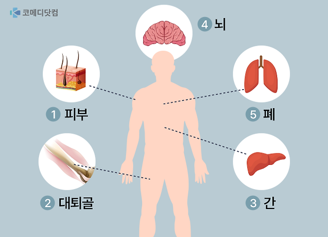우리 몸의 장기 수는 78개. 이 중 가장 무거운 기관은?  [이미지=게티이미지뱅크 편집 ©코메디닷컴] ]