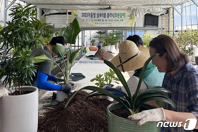 계룡농업기술센터에서 진행하는 ‘가을철 실내식물 클리닉’ 화분갈이 모습. (계룡시 제공) /뉴스1