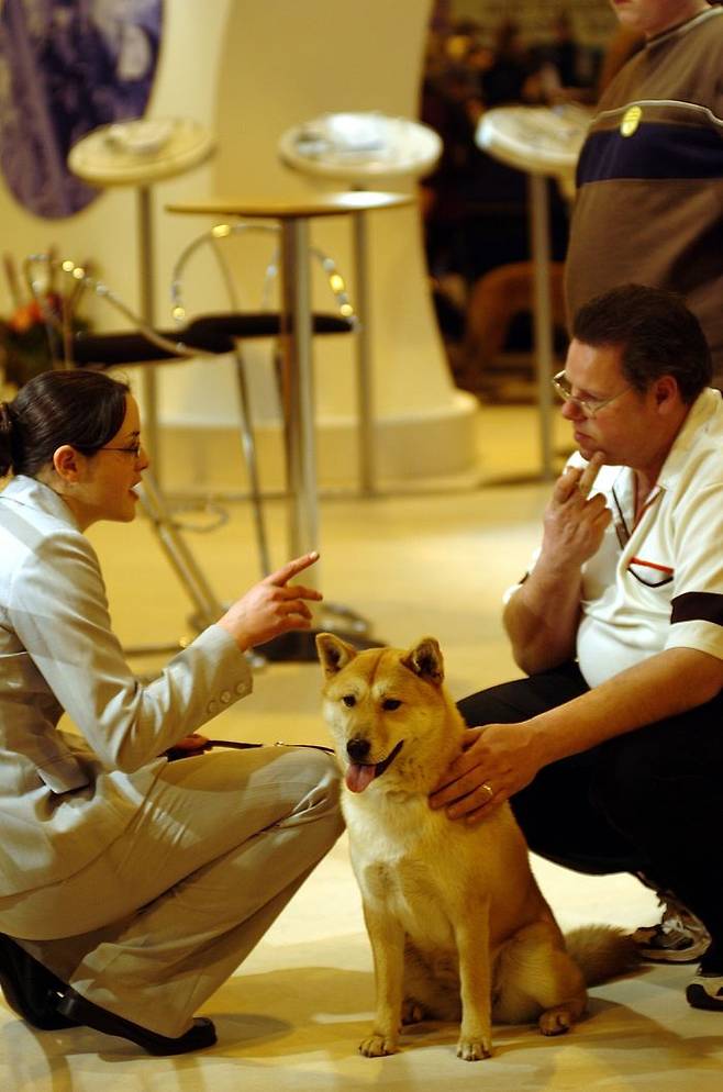 지난 2005년 세계적인 애견대회 '크러프츠 도그쇼'에 마련된 삼성 부스에서 관람객들이 진돗개를 살펴보는 모습ⓒ삼성