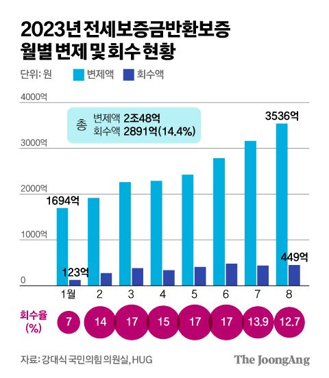 김영희 디자이너