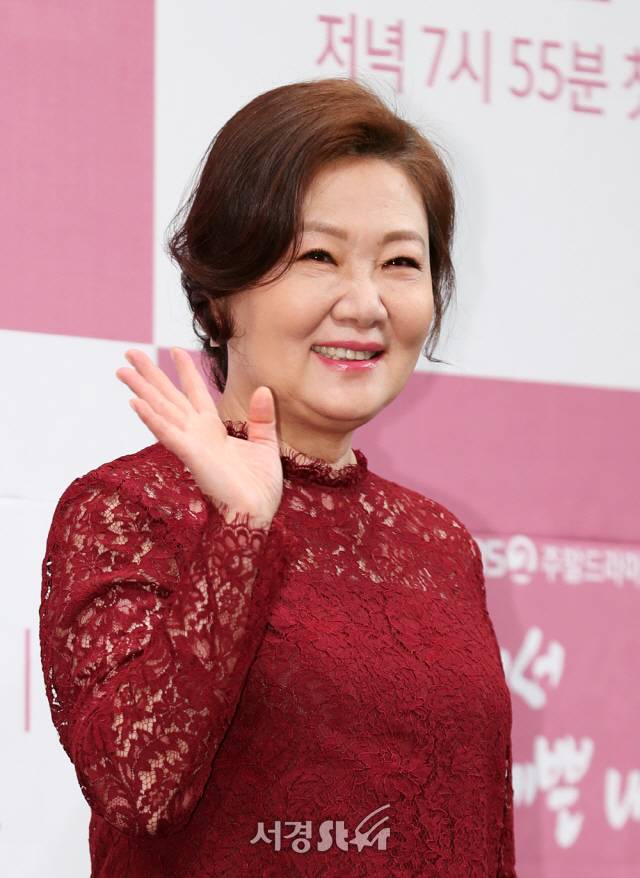 김해숙 / 사진=서울경제스타 DB