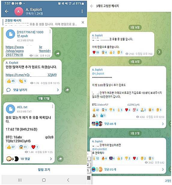 지난 5월 A군(16)이 텔레그램 공개대화방에 전자책을 유포하고 업체에 36억원 상당의 가상자산 비트코인을 요구하고 있는 모습. 경찰청 제공
