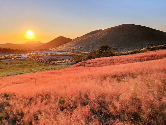 새별오름 ©제주패스