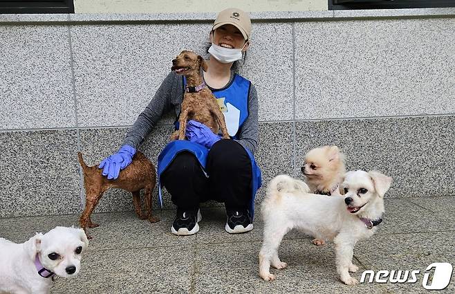 배우 한승연이 17일 경기 반려마루에서 개들에게 간식을 주고 있다. ⓒ 뉴스1 최서윤 기자
