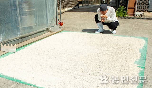 ⑤ 분쇄기로 파쇄해 다시 햇볕에 말린다. 이를 곱게 빻으면 완성이다.