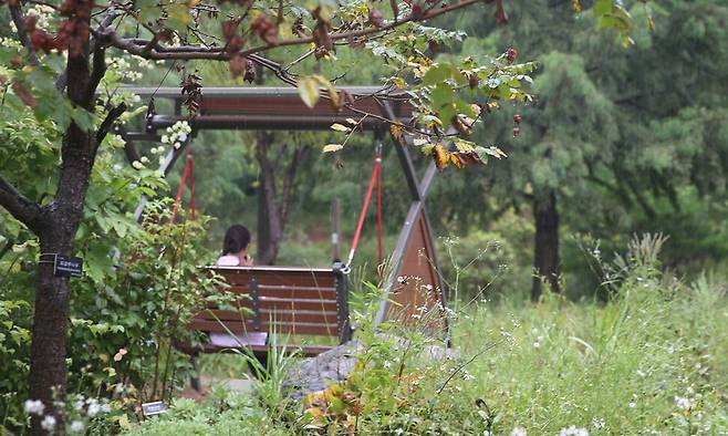 짙은 녹색 나무 가득한 푸른수목원 속 그네.&nbsp;