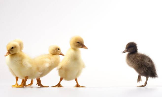 사진=게티이미지뱅크