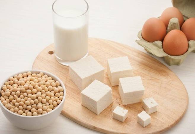 단백질은 적정량을 섭취하는 것이 좋다. [사진=클립아트코리아]