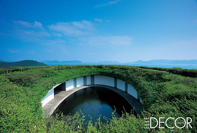 나오시마의 베네세 하우스 오벌 룸(Benesse House Oval).