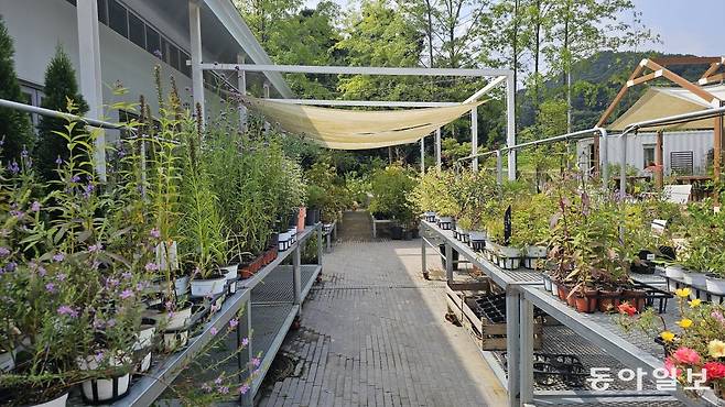 이 곳은 계절마다 심기 좋은 식물들을 추천해 소개한다. 용인=김선미 기자