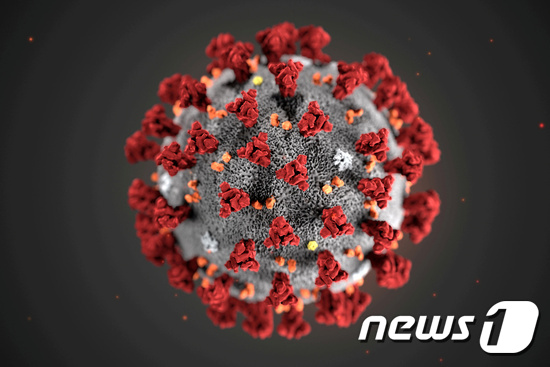 미국 질병통제예방센터(CDC)가 제작한 2019 신종 코로나바이러스 모형도. ⓒ 로이터=뉴스1