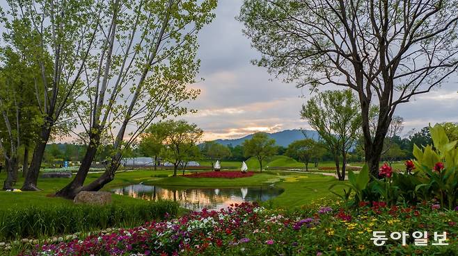 추석 연휴를 겨냥해 억만송이 국화를 심은 순천만국가정원의 노을정원. 순천만국제정원박람회 제공