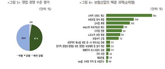 보험연구원 '2023년 보험회사 CEO 설문조사' 보고서 캡처 이미지. 자료=보험연구원 제공