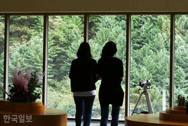 하이힐링원 로비 통창으로 숲이 한가득 들어온다.