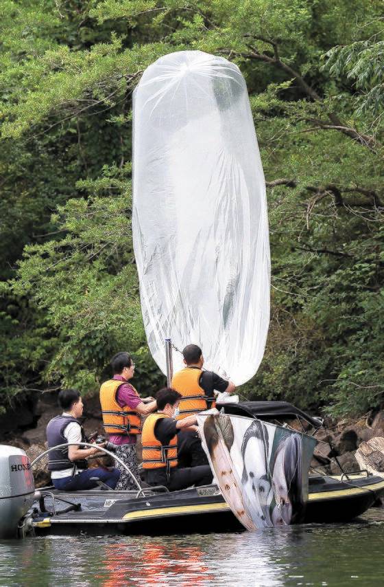 2020년 6월 22일 밤 경기 파주에서 탈북단체가 보낸 대북전단 살포용 풍선이 23일 홍천군 서면 마곡리 인근 야산에 떨어져 경찰이 수거하고 있다. 발견된 대북전단 살포용 풍선은 2~3m 크기로, 김정은 북한 국무위원장 일가의 사진이 부착돼 있다.연합뉴스