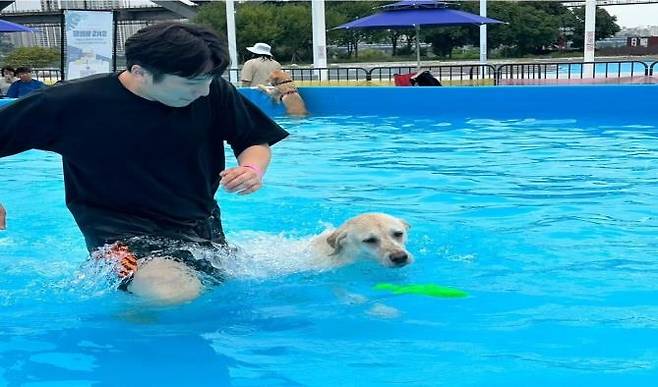 서울 뚝섬한강공원에서 마련된 공공 반려견 수영장을 찾은 반려인과 반려견이 물놀이를 하고 있다. 서울시 제공