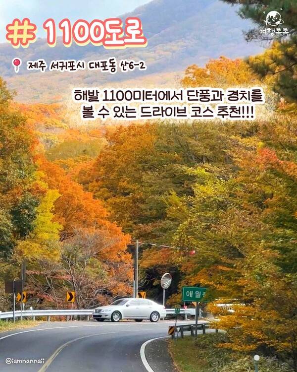 ⓒ여행톡톡 제주 1100도로