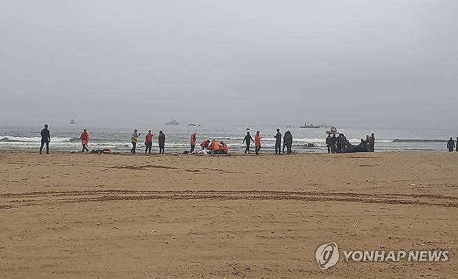 실종자 수색 이루어지는 포항 해안 (포항=연합뉴스) 손대성 기자 = 26일 오후 해병대 1사단이 있는 경북 포항시 남구 해안에서 수색 당국이 실종자 구조 작업을 벌이고 있다.
    이날 오후 3시께 인근에서 시험 운전 중이던 장갑차 1대가 침수돼 방산업체 관계자 2명이 실종됐다. 2023.9.26 sds123@yna.co.kr