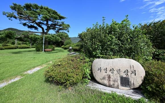 최우영씨가 조성한 인덕원의 전경. 26명의 고인을 기리는 인공물은 가운데에 놓인 와비 하나 뿐이다. 최씨의 가족들뿐만 아니라 마을 주민들도 이 곳에 와서 편하게 휴식을 취한다. 영천 오장환 기자